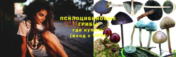 гашиш Арсеньев