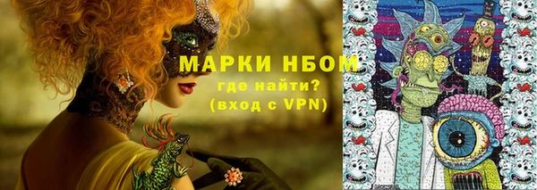 гашик Алексин