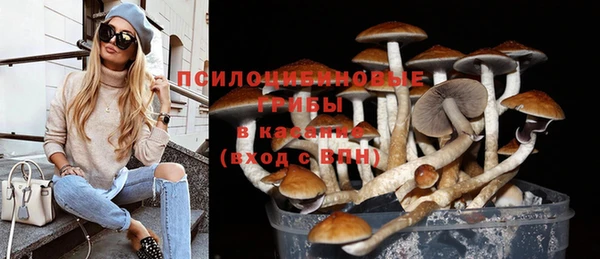 гашик Алексин